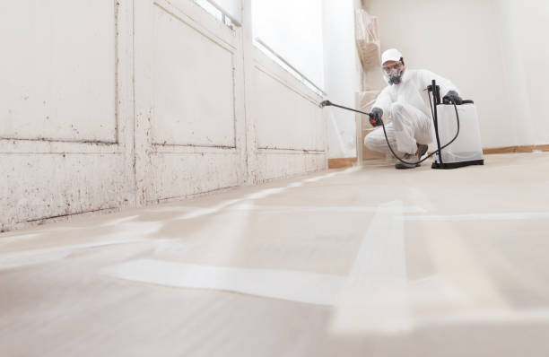24/7 Emergency Basement Mold Remediation experts in Harwood, MD